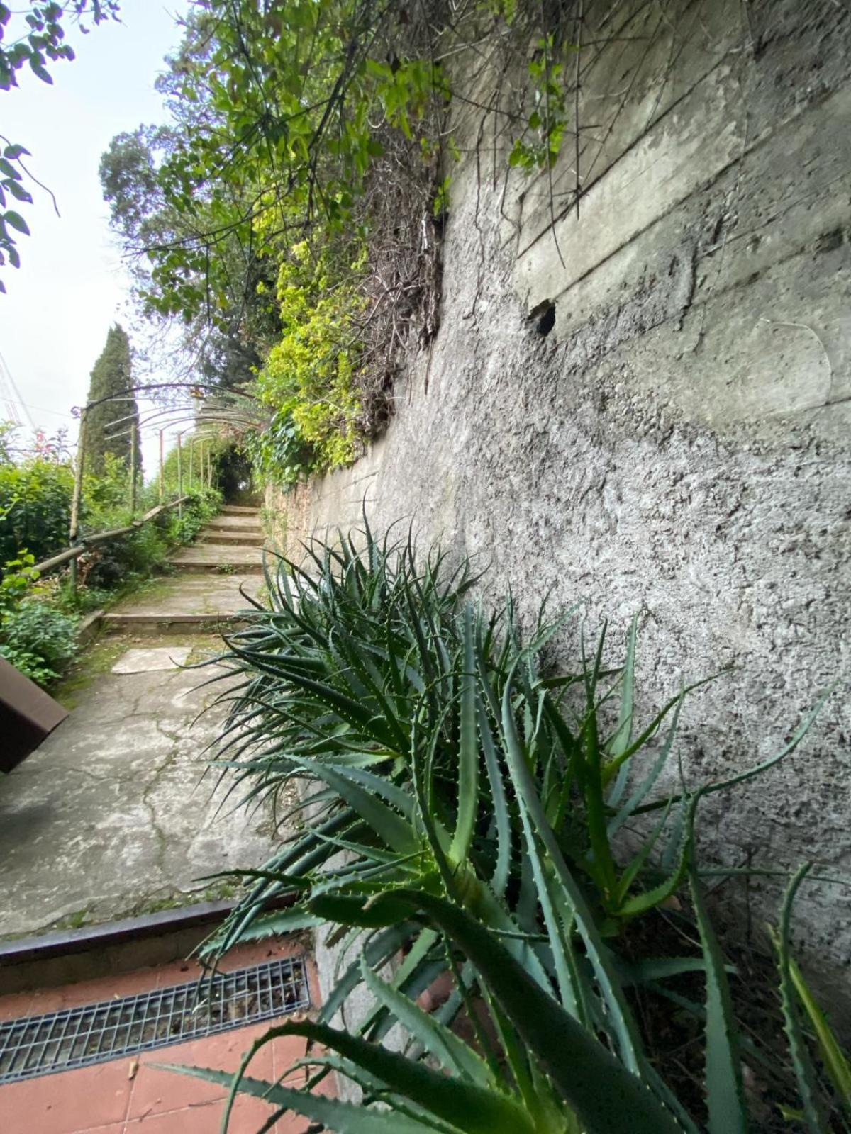 Caligo Bed & Breakfast La Spezia Eksteriør bilde